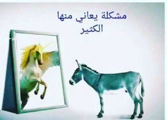Geoman42369998's tweet photo. @Tr11ki مين رفض صلاح يامنافق من 5سنوات تطلبونه للعب لدورى العواجيز ويرفض ابومكة رغم العروض المالية لانه يعرف ان دوريكم دوري المجاهيل ومن يلعب به يطوي سجله وينسي بالدورى التركي راح يلعب بدوري الابطال الاوربي ولما انضم صلاح لطربوزان ارتفعت قيمة واسهم النادى المالية يكفي استقبال الجماهير له https://t.co/jgGF4jNnLo