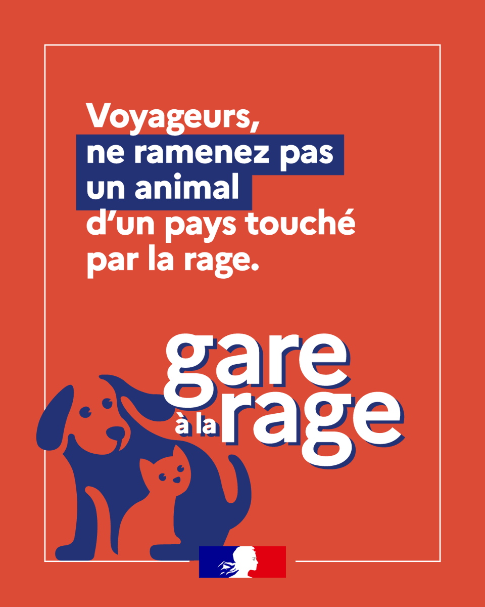 Image de Préfet de la Seine-Saint-Denis - Gare à la rage : adoptons les bons réflexes avant de voyager

⚠️ Des cas isolés de rage sont réguliè