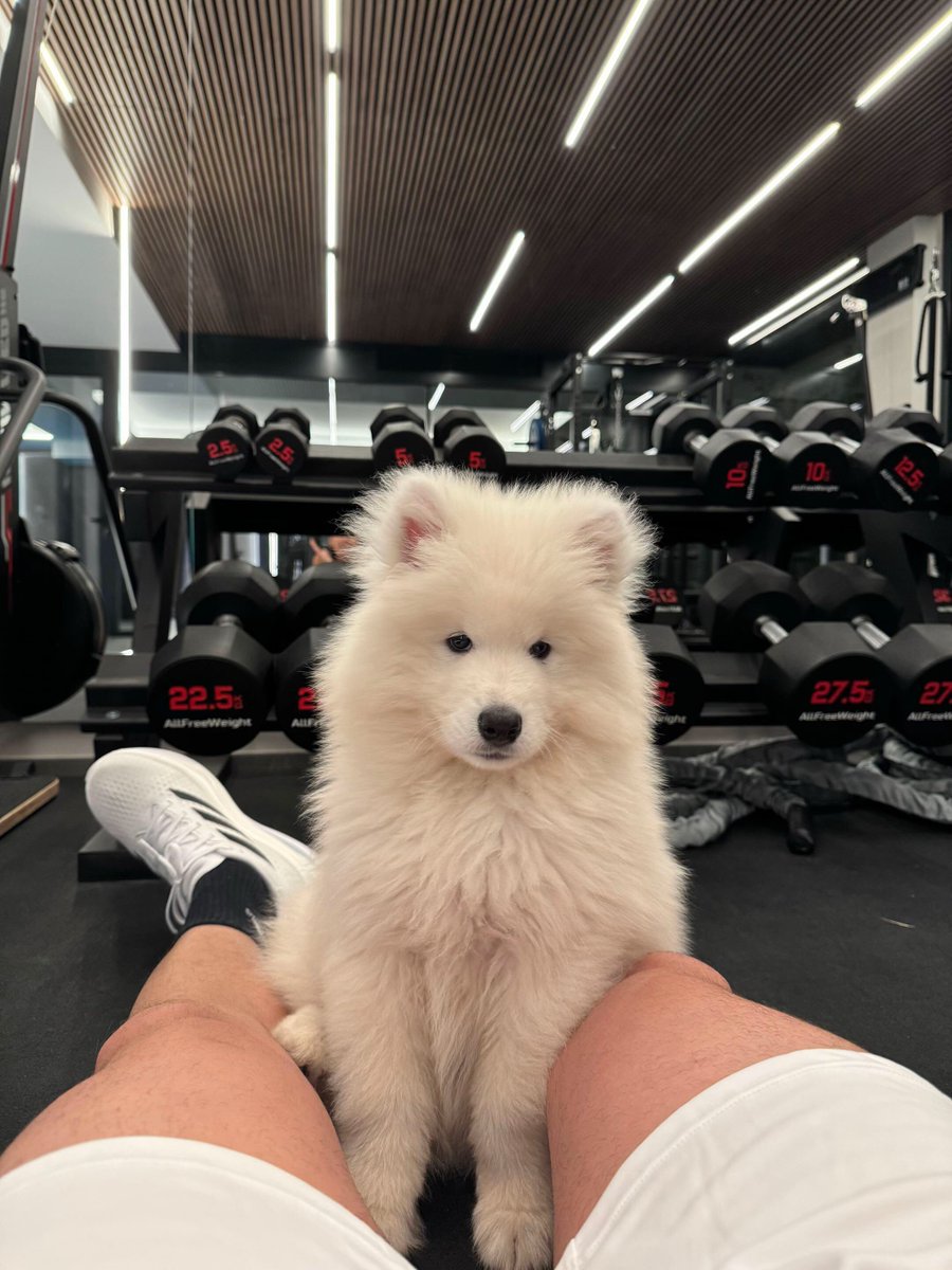 ejf249's tweet photo. la diferencia entre las fotos que suben enzo y julián en el gimnasio KJJ🙏🏻 son tan opuestos complementarios https://t.co/5Hnu54EhAZ