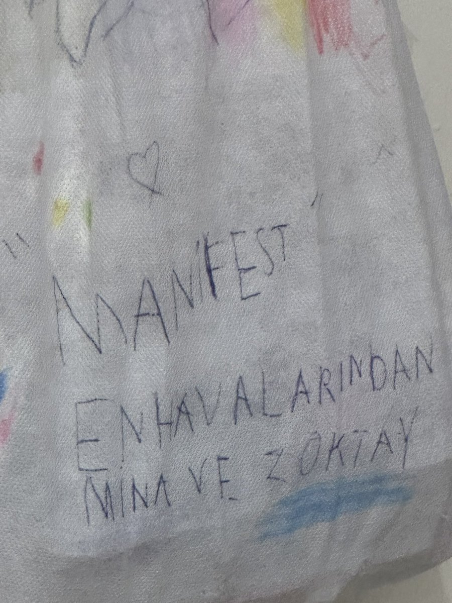 shhenur's tweet photo. 1 yıldır sana dikte yaptırıyorum be aşk tanem ayrıca manifest sevmiycez konuşmuştuk bunları meleğim https://t.co/GiIDHUxdLq