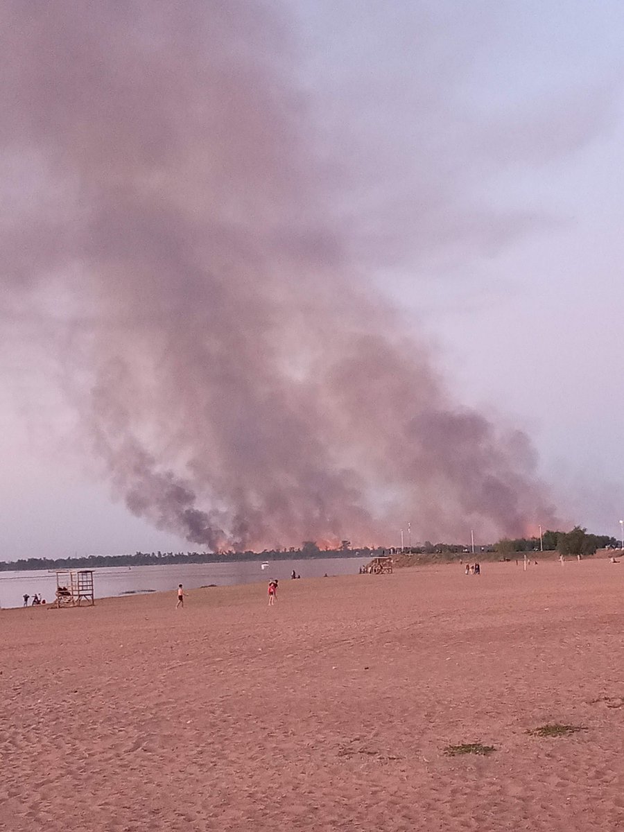 NadiaGBurgos's tweet photo. Senadores quieren votar que este sea nuestro horizonte. Derrotamos el Capítulo de Tierras, queda la autorización del uso de tierras incendiadas.
Sabemos que donde hubo fuego, negocios quedan. Por eso en las calles los vamos a enfrentar. ABAJO TODA LA LEY DE MILEI Y STURZENEGGER. https://t.co/ar46Wmz2sm