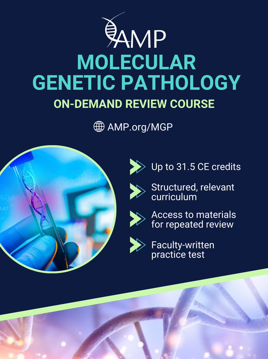 AMPath's tweet photo. No matter where you are in your career, our MGP Review Course can help you build knowledge and confidence.

🎯 Preparing for a subspecialty exam
💼 Taking on new responsibilities
🧬 Expanding your expertise
🔄 Refreshing your knowledge

https://t.co/kSXcTVsppa https://t.co/varPaIx6lg