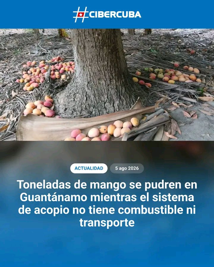 cubanolibre48's tweet photo. Mientras #Cuba muere de hambre! https://t.co/DG4KigMK87