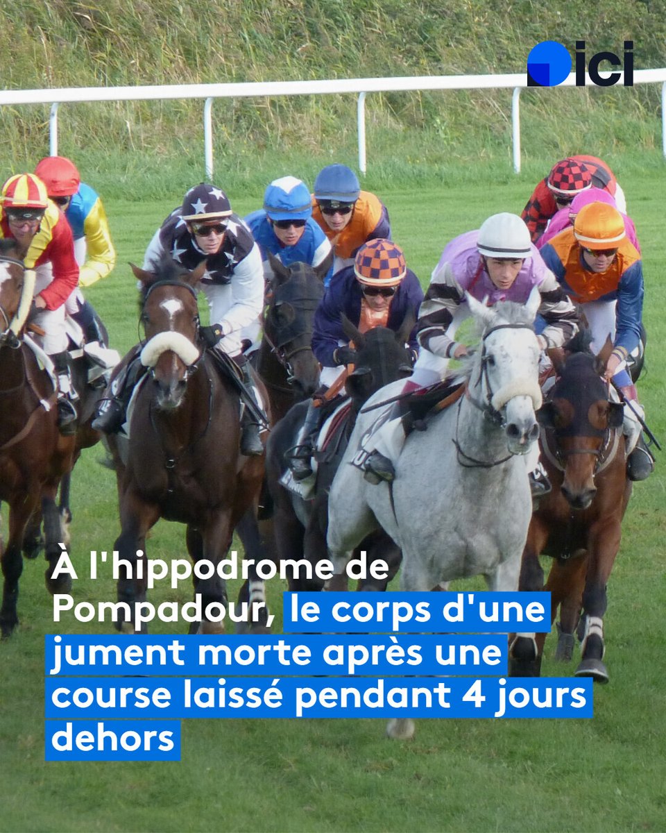icilimousin's tweet photo. 🏇 Une association animaliste s'émeut du sort du cadavre d'un cheval euthanasié après une course à l'hippodrome de Pompadour en Corrèze.
➡️ https://t.co/lzK50b1Be2 https://t.co/oqI25LrohN