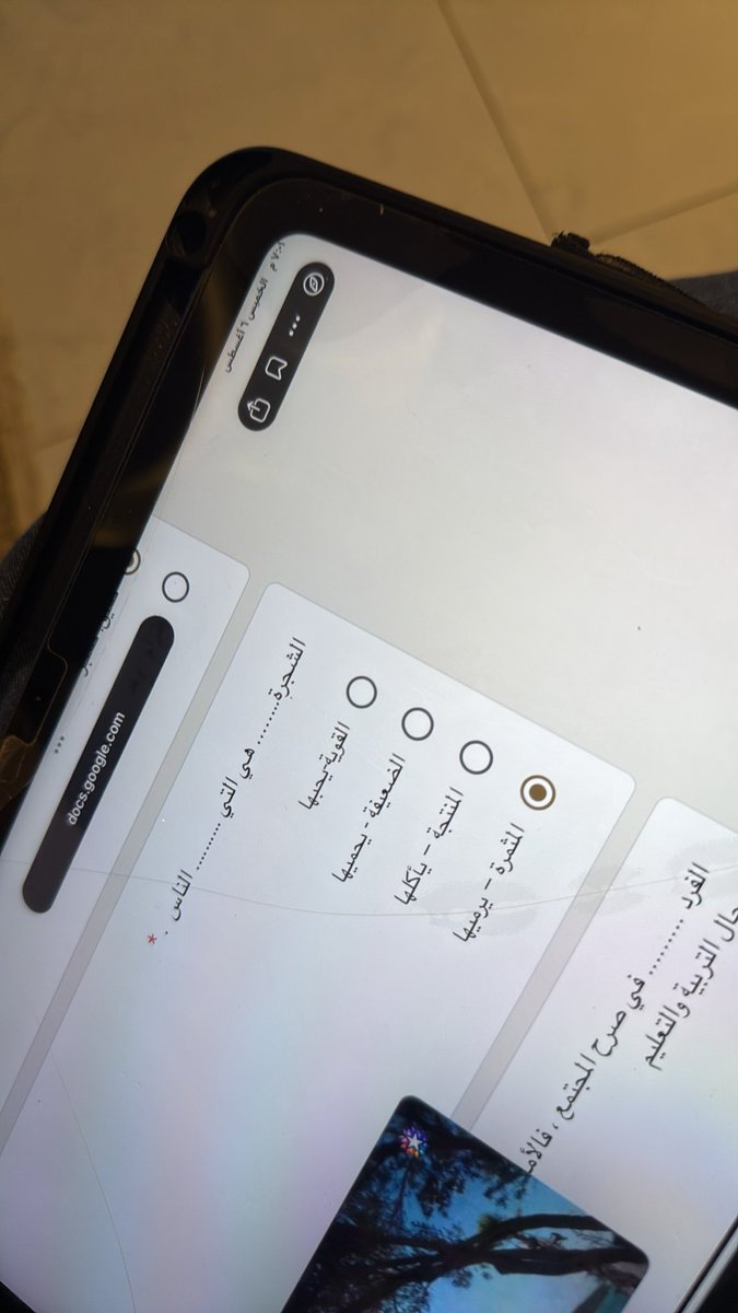 w67rtil's tweet photo. كيف يرمون الشجره المثمره مش منطقي https://t.co/Kf9HCDwPh6