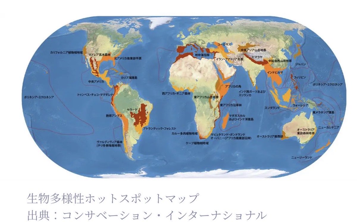 SouNoda's tweet photo. みなさんお忘れですが、日本って大陸から見たら離島なんですよという気持ち。
日本はほぼ全土が生物多様性ホットスポットに指定されており、我々が普通種だと認識している生き物には固有種がたくさんいるし、地域個体群も多数存在します。
https://t.co/tGZpX30Eik https://t.co/qKFSGff5d6