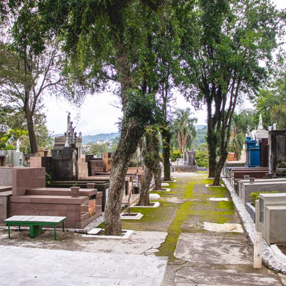 Ulisses__Soares's tweet photo. Recently, I participated in the delicate and lengthy process of removing my mother’s mortal remains from my grandparents’ family gravesite to make room for other family members in the future. It was a tender experience, one that brought back many memories and reminded me that, although death separates us physically for a time, the influence of a righteous life remains, and the promise of the Resurrection brings hope.
 
My mother was a wonderful example to me of what it means to be a devoted disciple of Jesus Christ. She passed away two days before her 94th birthday, just two months before my call to the Quorum of the Twelve Apostles in 2018. As I reflected on her life during this unusual and sacred experience, I felt renewed gratitude for her faith, her goodness, and the lasting legacy she left to our family.
 
Until the end of her life, she remained remarkably healthy, mentally alert, active, and deeply devoted to the gospel of Jesus Christ. She often expressed her belief that many of the blessings she enjoyed throughout her life were connected to her conversion to the gospel and to the way she sought to live its teachings.
 
Although this tender experience reminded me of the sorrow of temporary separation caused by death, it also strengthened my testimony of the glorious reality of the Resurrection. I know that, through Jesus Christ, my mother’s mortal remains will one day be reunited with her spirit in a perfected and immortal body.
 
Because of the Savior’s victory over death, the gift of resurrection is extended to every person. I testify that the Resurrection is real and that eternal life is made possible through Jesus Christ as we exercise faith in Him, repent, make and keep sacred covenants with Him, and faithfully follow Him.