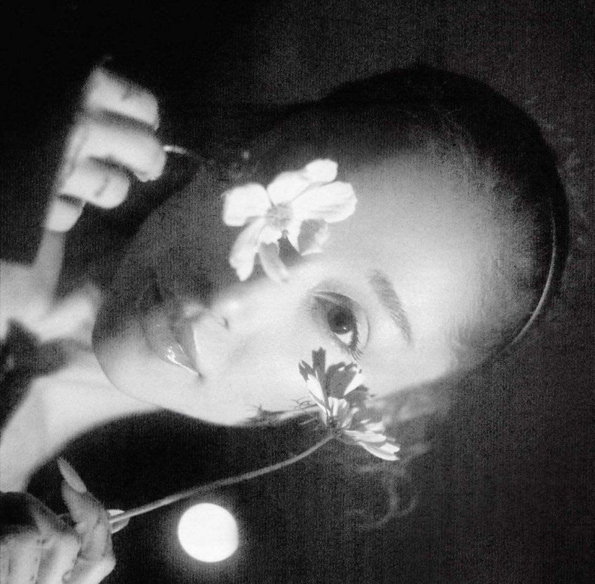 buffys's tweet photo. ARIANA GRANDE FOR THE PETAL ALBUM https://t.co/y0bVlwZ09S