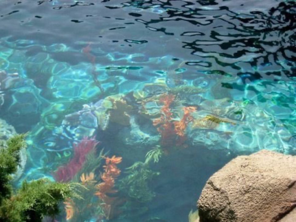 ceelasylviaa's tweet photo. calmness of blue https://t.co/m7jV15PYg4