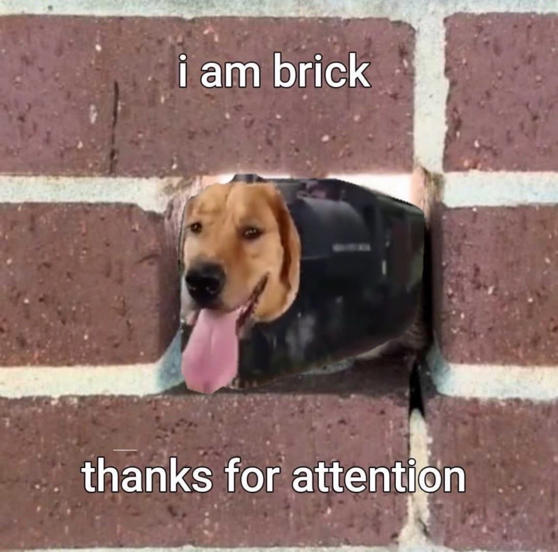 bleshgod's tweet photo. i missed you traindog https://t.co/ZvoPufTF7m