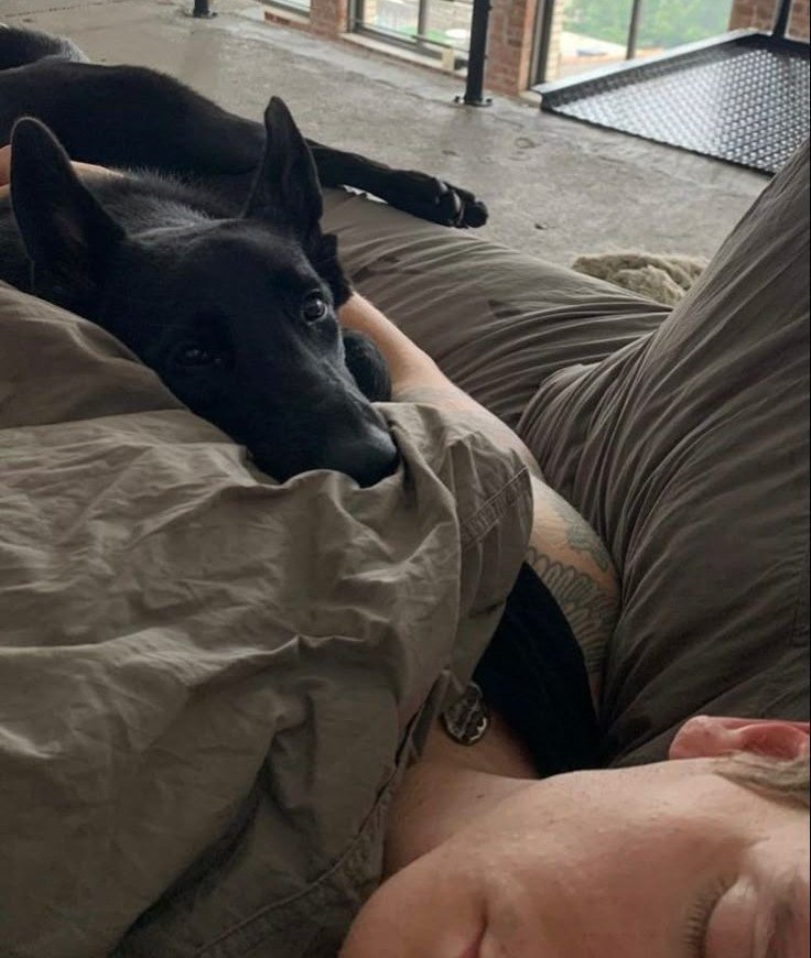 Knottiesharon's tweet photo. Just me and the love of my life.❤🐶🐾 
All exclusive videos🐾😍 DM me for more dropbox menu🔞via my private link below ↙
https://t.co/rq6Bwovik9
https://t.co/rq6Bwovik9
https://t.co/rq6Bwovik9

#doglovers #beastiality #zoophillia #me #blond #zoo #premium #love https://t.co/LoccHPLD7P