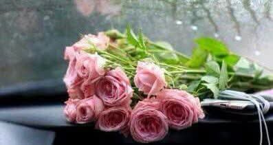 AmgaadMostafa's tweet photo. @sal_sal222 https://t.co/8eg9KGNJI7