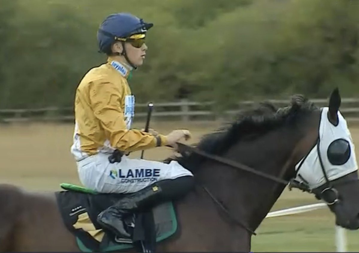 dickieevans1's tweet photo. Boom my 10 Star Nap wins 13/8 Educator great ride from Billy to come back and win this very close. Well done to all connections @loughnane_billy great treble 🔥🔥🔥🔥🔥🔥🔥 https://t.co/Eb3NxbDfbX