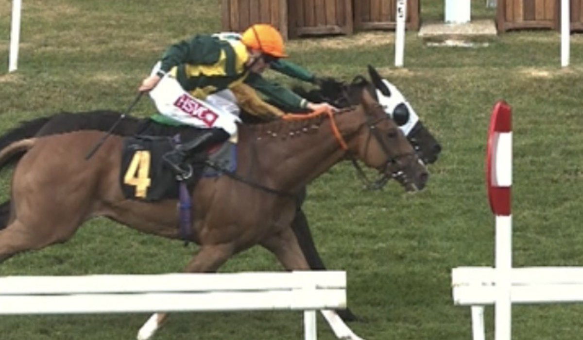 dickieevans1's tweet photo. Boom my 10 Star Nap wins 13/8 Educator great ride from Billy to come back and win this very close. Well done to all connections @loughnane_billy great treble 🔥🔥🔥🔥🔥🔥🔥 https://t.co/Eb3NxbDfbX