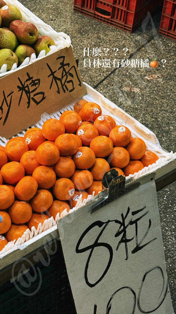 niang626's tweet photo. 肚子撐到不行該怎麼解？換個思路、來塊蛋糕配上咖啡就好啦！
這個桂花口味真的讚到我心坎裡，超喜歡♡
在咖啡廳撞見一個超有教養的小孩，當場融化૮₍ ˊᗜˋ₎ა
路過植栽店看到這株辣椒，老闆超熱情跟我喇賽好久，聊以前大家都種什麼盆栽之類的，最後不小心把辣椒跟一盆超美的花一起帶回家了🎉 https://t.co/WtTaNSgKl7