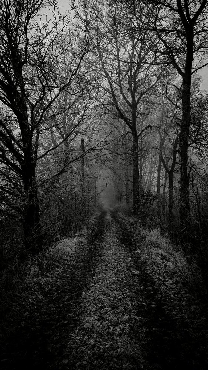 NIN75_'s tweet photo. The path......... https://t.co/CuS3EmGgKn