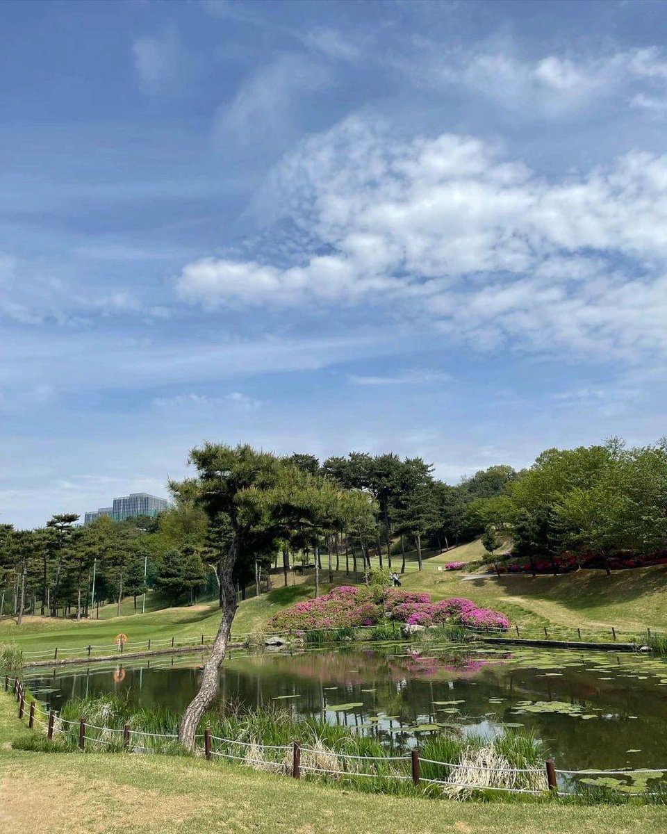 Aoce7788's tweet photo. The best state of life is having the confidence to earn a living and hobbies that bring you joy, while taking life's complexities and trivialities in stride and living a steady, peaceful life. https://t.co/eOlwKzvvVL