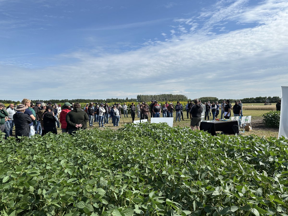MbPulseGrowers's tweet photo. MPSG Production Agronomists Terry Buss and Wendy McDonald enjoyed presenting soybean production tips and explaining the soybean stability variety trials to over 150 people at the MCDC Carberry field tour yesterday. https://t.co/p0eGimc7vy