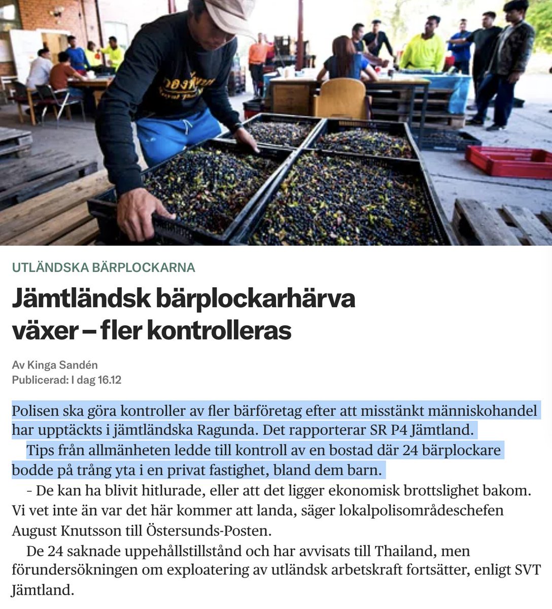 GStrand45's tweet photo. Skämmes ta mig fan!

Slavarbete, människohandel och barn......
Ändå döms inte dessa privata företag utan skyddas av facket, @Arbetsmiljo , @Migrationsverk  mfl.
"I år har vi fått underlag från flera arbetsgivare som kan visa schyssta arbetsvillkor"
Ändå hittas "24 bärplockare bodde på trång yta i en privat fastighet, bland dem barn."
@Migrationsverk  borde fan skämmas!
Förbjud detta slavarbete, människosmuggling, barnarbete för privata företags vinster på stulet gods!
