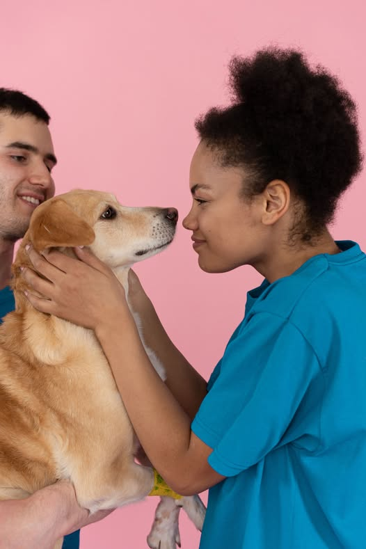 Petworldcart's tweet photo. Make every day more exciting with quality pet accessories and toys. Because your best friend deserves the very best! 
https://t.co/pvRksQy2HT
#PetEssentials #DogLovers #CatLovers #petworldcart #Thursdayvibe https://t.co/FoP5ScEkQZ