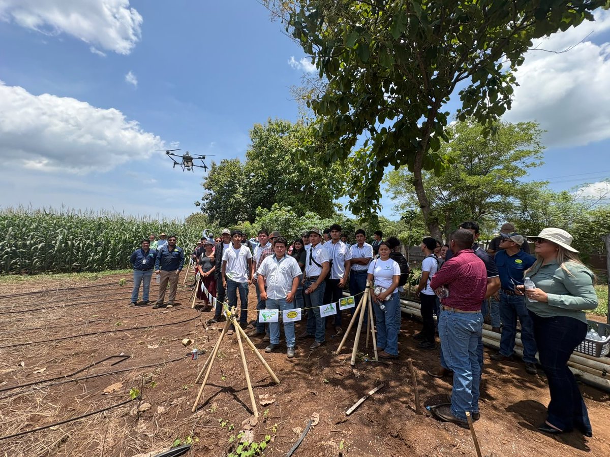 somos_agro's tweet photo. En la Mesa Regional de Buenas Prácticas Agrícolas de Sur Occidente, realizada el 5 de agosto, reunimos esfuerzos para fortalecer una agricultura más sostenible y competitiva. 

📍 98 participantes formaron parte de esta jornada, con la participación de AGREQUIMA, APIB, Grupo Hame, ICTA, MAGA, Cámara del Agro, estudiantes del Instituto Adolfo V. Hall del Sur y productores de cacao y granos básicos de la región.

El intercambio de conocimientos y experiencias fortalece la adopción de buenas prácticas agrícolas que contribuyen al desarrollo del sector y de las comunidades.

#BuenasPrácticasAgrícolas #AgriculturaSostenible #SomosElAgro