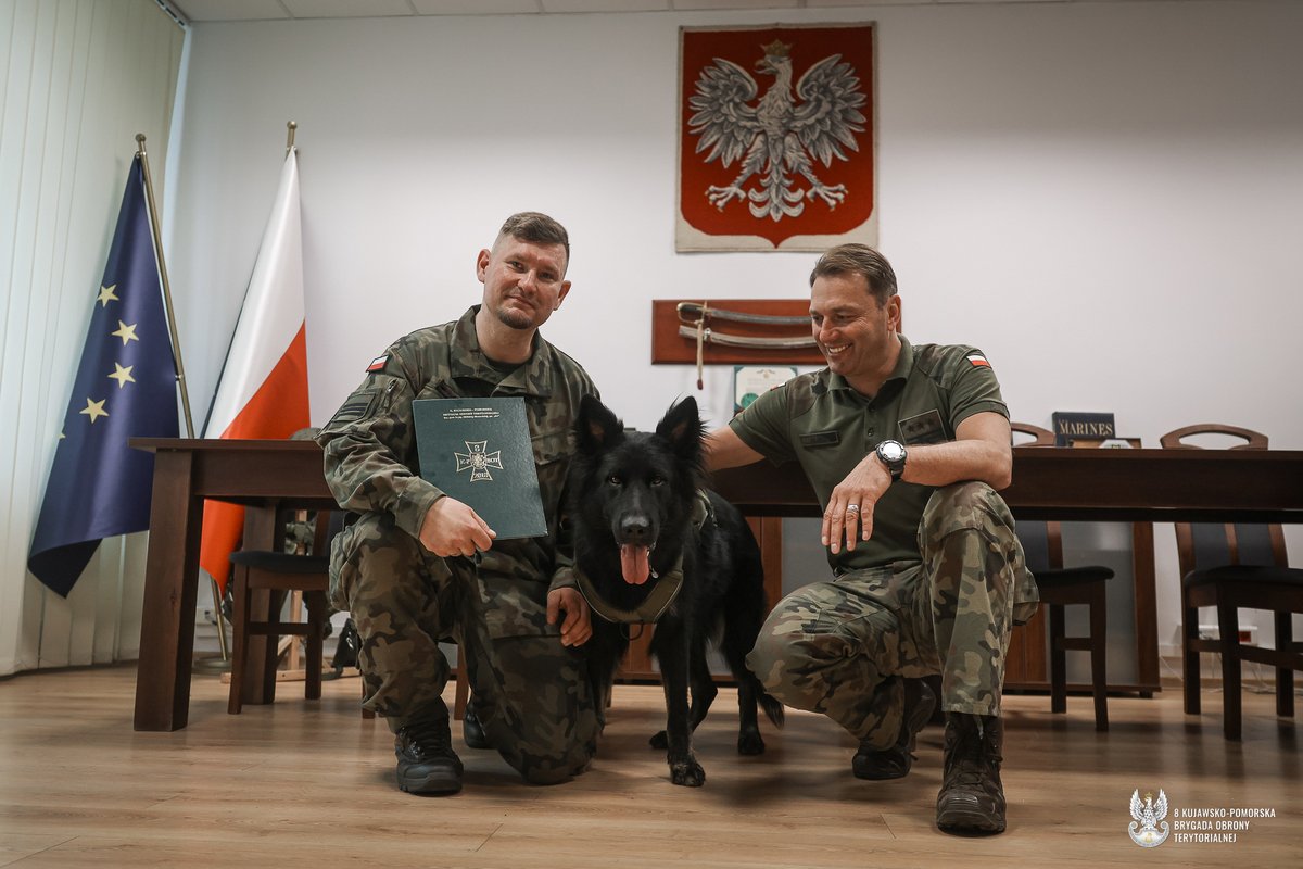 terytorialsi's tweet photo. 🐕🪖 Pierwszy zakontraktowany pies w szeregach #8KPBOT!

Do Grupy Poszukiwawczo-Ratowniczej K9 8 Kujawsko-Pomorskiej Brygady Obrony Terytorialnej oficjalnie dołączyła Abigeil – owczarek niemiecki, który wraz ze swoim przewodnikiem, st. kpr. Adamem, tworzy zgrany zespół ratowniczy.

Abi pomyślnie zdała już terenowy egzamin klasy „0”. Teraz zespół przygotowuje się do egzaminu klasy „1”, który otworzy mu drogę do udziału w realnych akcjach poszukiwawczo-ratowniczych.

Grupa Poszukiwawczo-Ratownicza K9 8 K-PBOT liczy obecnie 13 żołnierzy. Tworzą ją dowódcy, planiści, nawigatorzy oraz przewodnicy psów – specjaliści gotowi wspierać lokalne społeczności wszędzie tam, gdzie liczy się czas i każda para wyszkolonych oczu… oraz łap. 🐾

🐕 Powodzenia, Abigeil! Trzymamy kciuki za kolejny egzamin i bezpieczną służbę! 

🔗 Więcej szczegółów w komunikacie na naszym Biurze Prasowym ➡️ https://t.co/7tPd2duLcI

@MON_GOV_PL #WOT #Terytorialsi #GPRK9 #K9