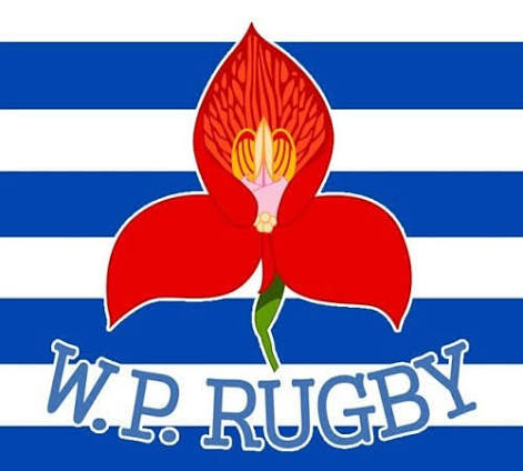 T2Rugby's tweet photo. The 🇿🇦 South African domestic rugby branding is just dire and has been for about 30 odd years. They erased their heritage &amp; references to their location to be bland generic kids toy team brands.

Some perhaps modernised version of these should be basis for their club emblems. https://t.co/T4dPWA8j2F