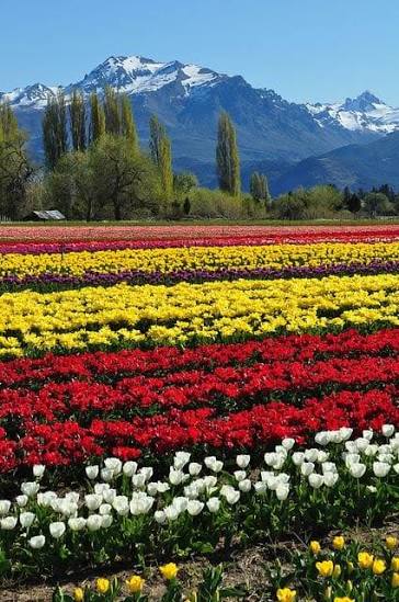 Imagen_Arg's tweet photo. Trevelin, Chubut 💙 https://t.co/Rj7mYmiVbd