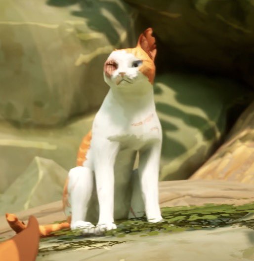 furryapplepie's tweet photo. brightheart and cloudtail are so adorable https://t.co/UCF1OxoLP9