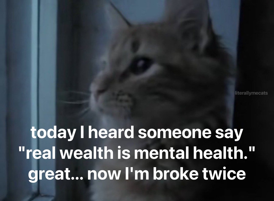 literallymecats's tweet photo. https://t.co/VgLvOJ0iHA