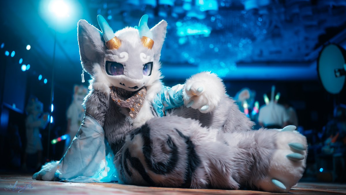 ymngxun69349386's tweet photo. #FursuitFriday

夜场蹦累了的话，要不要一起来躺会儿呢~

🎥：翎陌 @ahblue_ https://t.co/GLuuL5AMkT