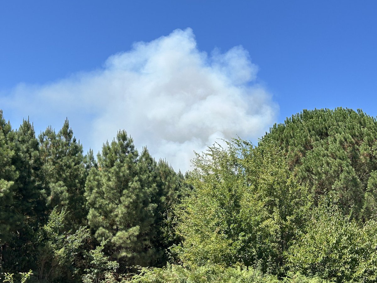 kikouki's tweet photo. @fulguror @diaz_edwige Je confirme, le feu a démarré en face de chez moi
3h d’écart entre ces deux photos https://t.co/RBPx0lHIuk