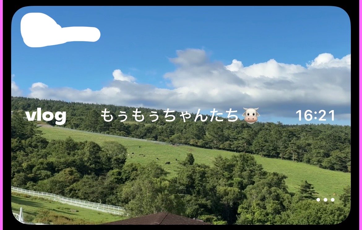 maru_kurus2's tweet photo. 毎年恒例の家族キャンプ行った❣️
桃5個くらい1人で食べてきゅうりは20本くらい食べました（ガチ）

※我が家では牛をモゥモゥちゃんと呼びます🐮💖 https://t.co/gIDnUrTMpo