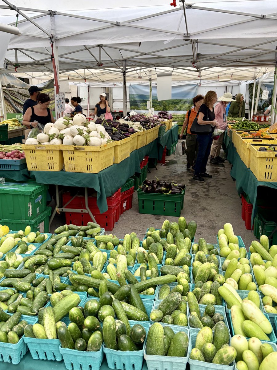 LiRuan_nyc's tweet photo. Green market 

#greenmarket #farmersmarket #nyc #urban #organic #life #plants #corns  #citylife #farm #produce #healthyliving #NewYork #publicspace #sunflowers https://t.co/xZu6dGQAQn