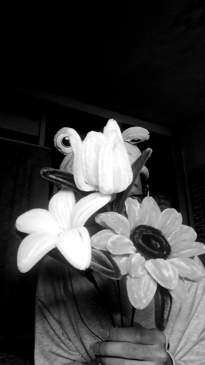 Akort__ tweet picture