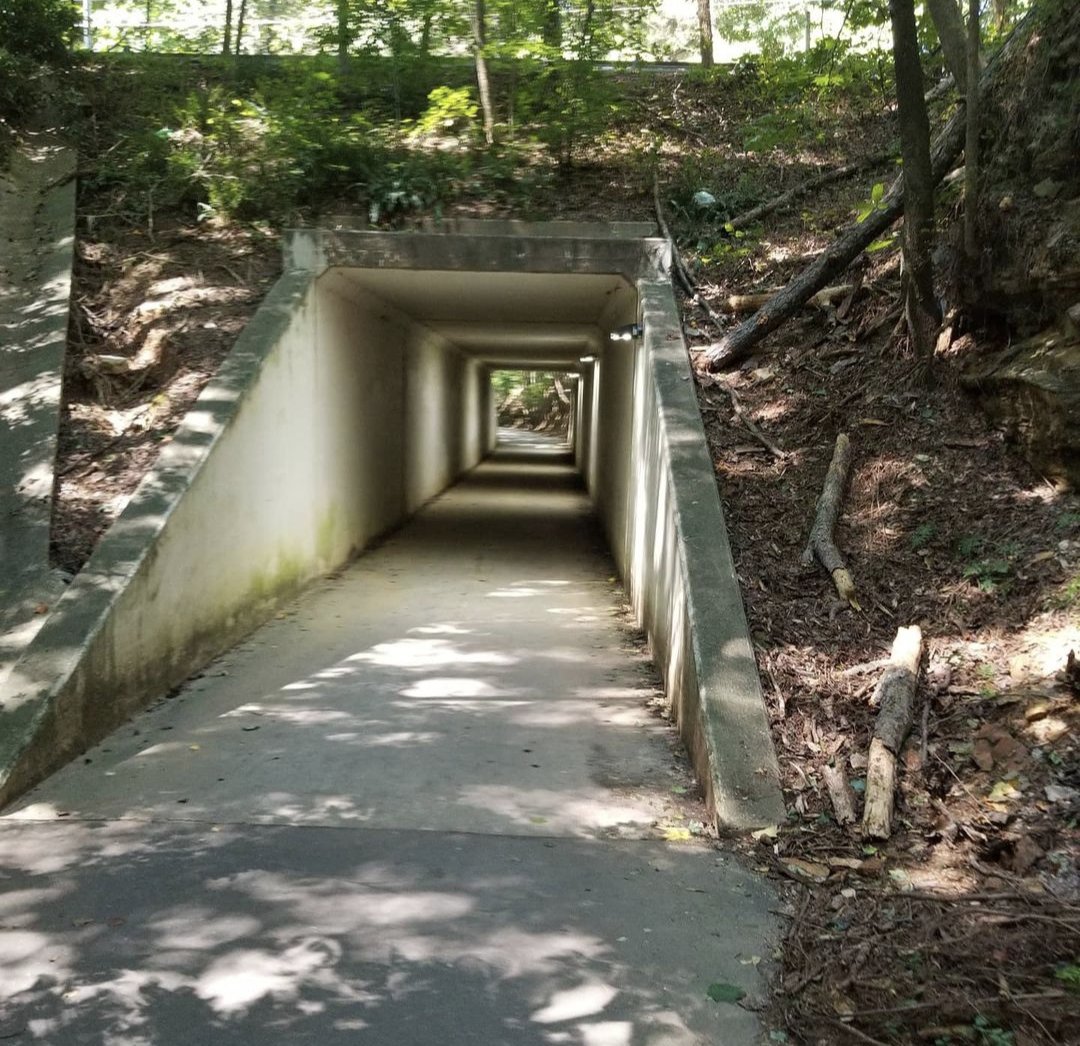 ActiveRunnerOnX's tweet photo. Silver Comet Trail - Smyrna, GA

Difficulty: Easy to Moderate
Activer Runner Rating: 8.6
Distance: 61.5 miles and growing

For more on Trail Here:  https://t.co/KO7Cbcec0F

#theactiverunner #running #runninglife #Georgia #silvercomettrail https://t.co/2iCPsnIr9i