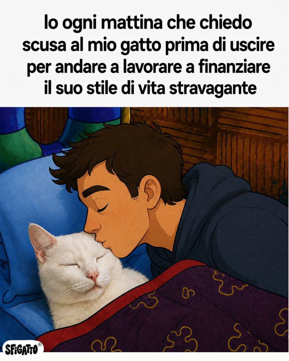Sfigatto's tweet photo. https://t.co/6Pb5kYMggD