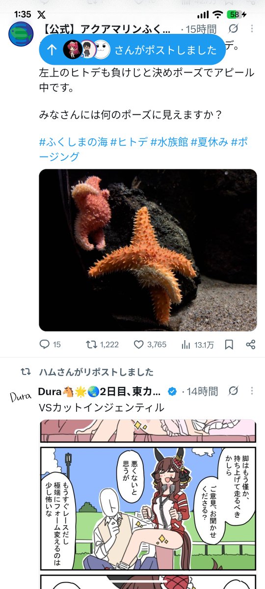 HotaruUmina's tweet photo. この並びは卑怯だろ https://t.co/BfKQxdrhnG