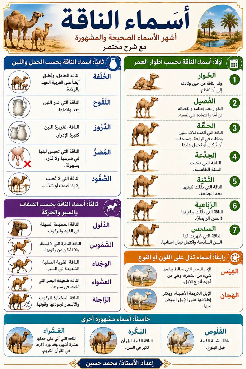 HaithamAlwazir's tweet photo. https://t.co/fnrmSMWFRr