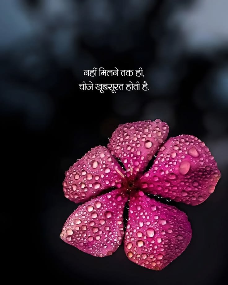 Cute_rooh5's tweet photo. ☺️🌸 https://t.co/ZhXtmsjT0T