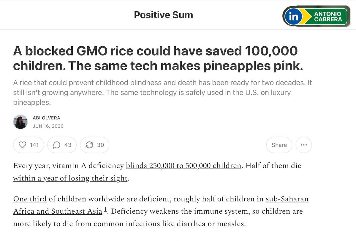 cabreraagro's tweet photo. Durante décadas, o Greenpeace combateu o Arroz Dourado, uma variedade geneticamente modificada para produzir betacaroteno, que o organismo transforma em vitamina A.
Eu já fiz vários comentários sobre isso.

Não se tratava de criar um alimento de luxo.
Tratava-se de ajudar crianças pobres, em regiões onde o arroz é a base da alimentação, a enfrentar uma deficiência nutricional que provoca cegueira, enfraquece o sistema imunológico e aumenta o risco de morte.
Ativistas destruíram campos experimentais, pressionaram governos e recorreram à Justiça para impedir seu cultivo.

Nas Filipinas, depois de o país aprovar o Arroz Dourado, uma ação apoiada pelo Greenpeace conseguiu suspender sua propagação comercial.
Uma análise recente estima que duas décadas de atraso possam ter custado mais de 100 mil vidas e deixado centenas de milhares de crianças cegas. É uma estimativa sujeita a debate, mas a tragédia que ela expõe é real: enquanto a tecnologia permanecia bloqueada, crianças continuavam sofrendo por falta de uma vitamina que a ciência já sabia inserir no alimento básico.

O mais revoltante é o contraste.
A mesma biotecnologia pode ser usada no mundo rico para produzir abacaxis cor-de-rosa vendidos como novidade.  E ninguém é contra.
Mas, quando poderia ajudar pobres a evitar a cegueira e a morte, foi transformada em alvo de militância ideológica.

O Greenpeace gosta de apresentar suas campanhas como defesa da humanidade.
Mas não existe defesa da humanidade quando o medo da ciência vale mais do que a vida de crianças.

Ambientalismo sem responsabilidade pelas consequências não é virtude.
É crueldade revestida de boas intenções.
#Agro #Arroz #ativismo
