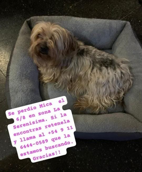 patripeyrou's tweet photo. Difundan
Rt
Recompensa https://t.co/2gNR0QrgzA