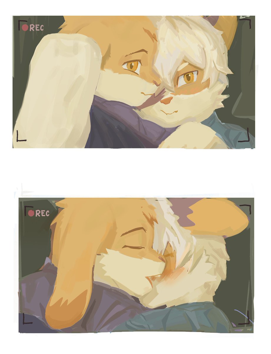 Luuoosso2's tweet photo. Camera shy 
#furryartㅤㅤㅤ #kemono #furryartist https://t.co/YdXcsUVWwX