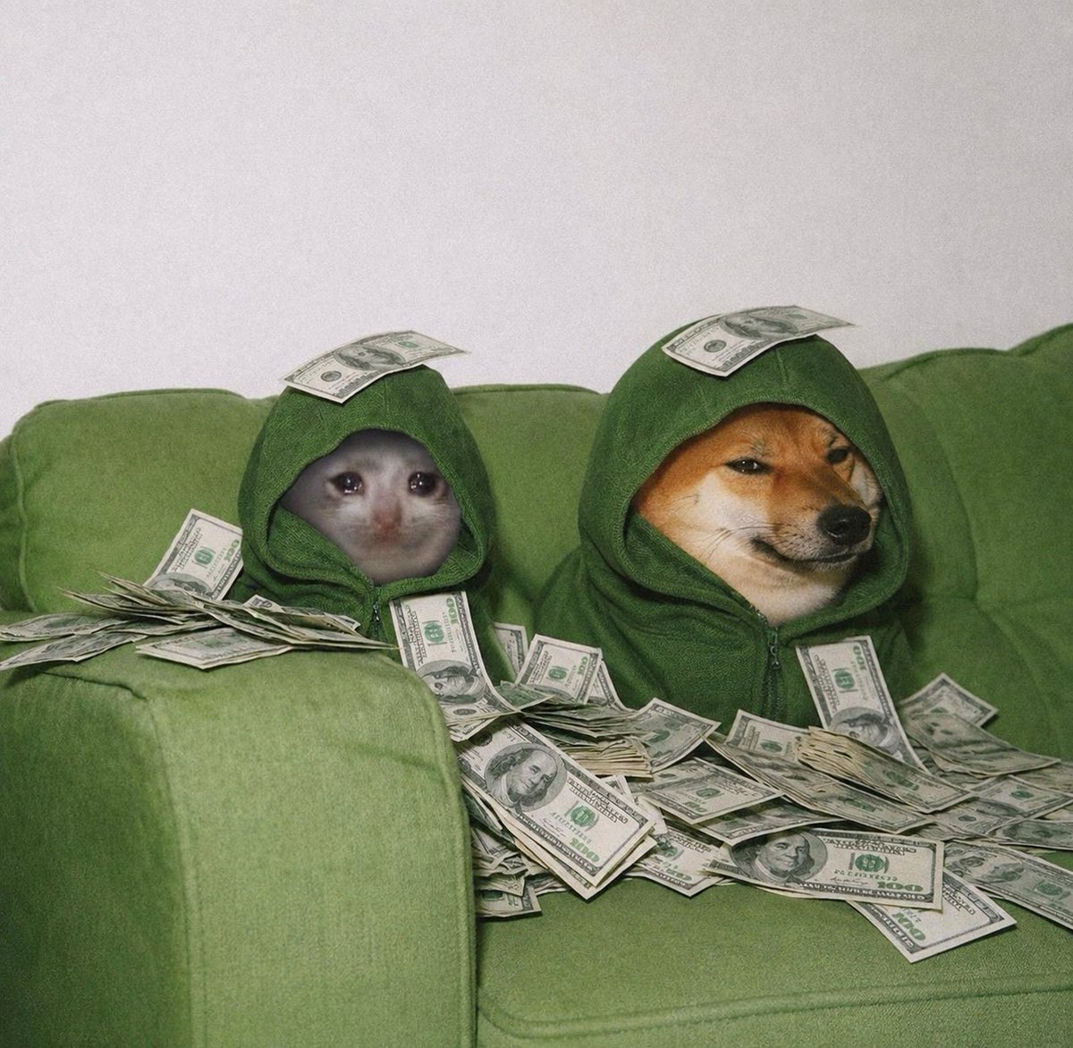 Cashdog_token's tweet photo. 👏👏 @cashcat_token https://t.co/FL84uHORdU