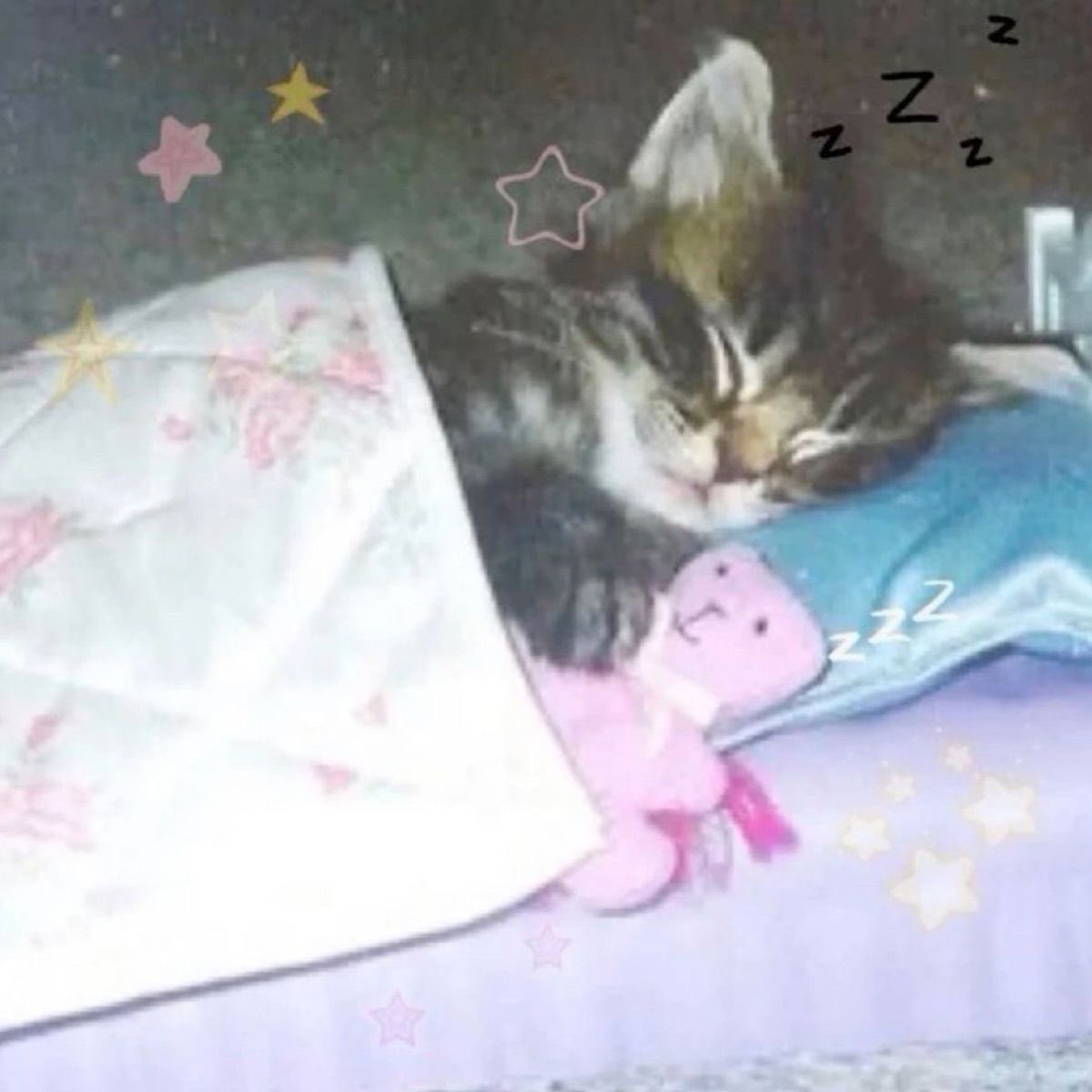 emailoflove's tweet photo. jesli pojscie na drzemke po obiedzie jest takie niezdrowe to powinni wynalezc obiad ktory nie sprawia ze chce ci sie spac https://t.co/0bJnhEHnqn
