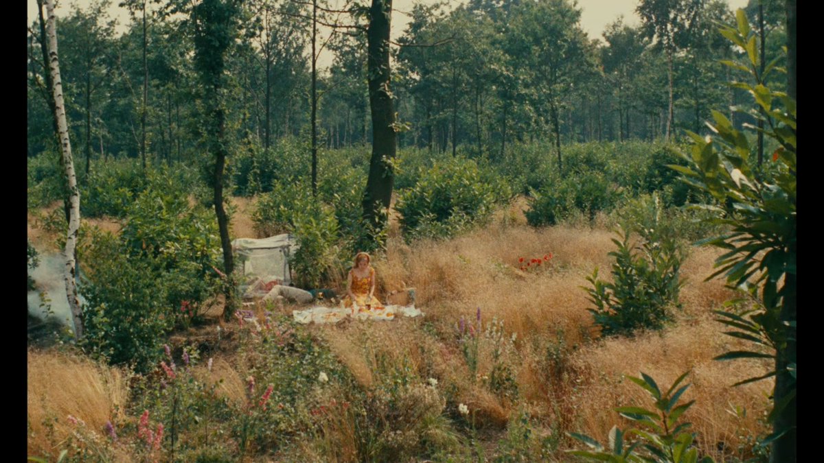 lemon_supreme's tweet photo. Le Bonheur (Varda, 1965) https://t.co/ReeEKkdQwT