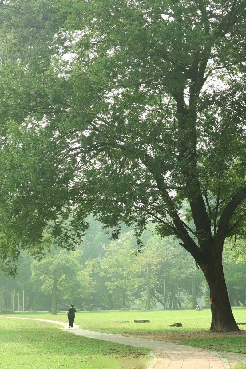 Harris25513329's tweet photo. Just got caught in a sudden spring rain—fresh grass scent everywhere, perfect excuse to skip the walk and curl up with a warm drink. https://t.co/v3XMyC7nn2