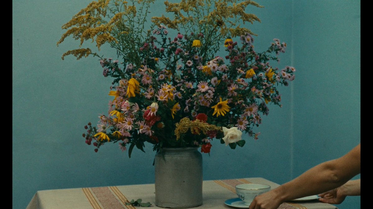 lemon_supreme's tweet photo. Le Bonheur (Varda, 1965) https://t.co/ReeEKkdQwT