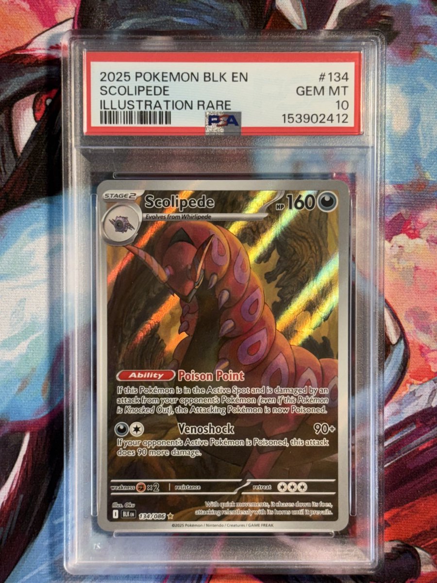 PZPTCG's tweet photo. Slabs for Sale!

Ducklett - $325
Deino - $280
Scolipede - $270
Simipour - $230

Free ship in a small box 🚢 https://t.co/BtfCCikF0N