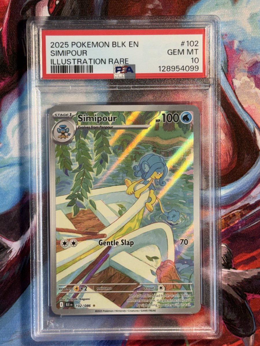 PZPTCG's tweet photo. Slabs for Sale!

Ducklett - $325
Deino - $280
Scolipede - $270
Simipour - $230

Free ship in a small box 🚢 https://t.co/BtfCCikF0N